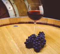 Echuca and Moama Winery TOur
